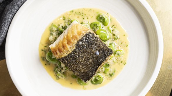 Go-to dish: Murray cod with broad beans.