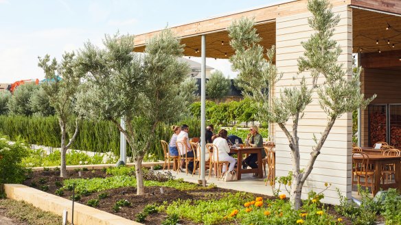 Coogee Commons in Perth, a new must-visit restaurant with a thriving kitchen garden.