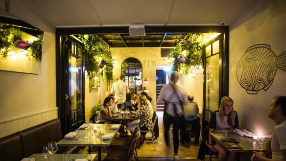 The narrow Paddington terrace has been cleverly tweaked by Luchetti Krelle.