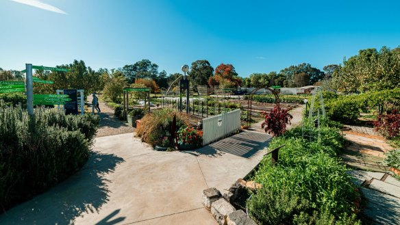 Pick your own produce at PepperGreen Farm.