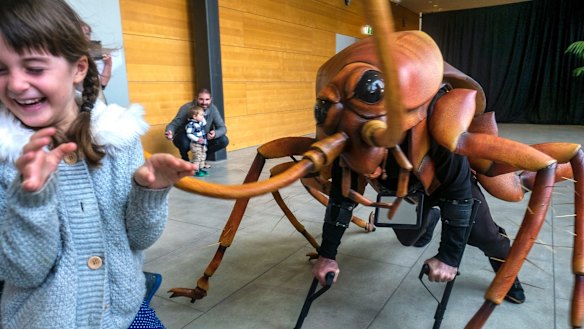 Bug Lab: Melbourne Museum's latest show explores super-powered world of ...