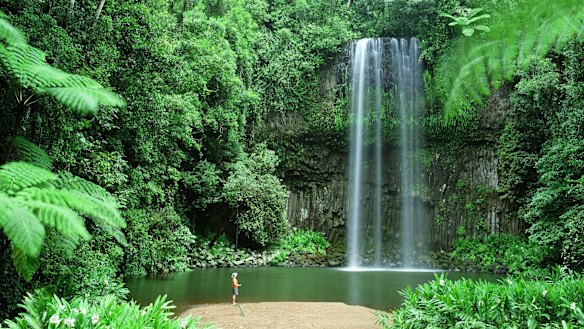  Millaa Falls near Cairns.