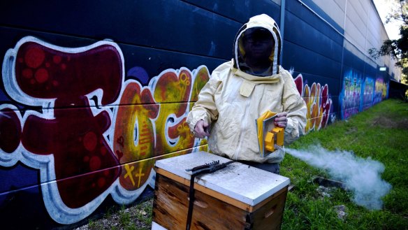 Doug Purdie is buzzing to see his honey being used to make innovative beverages across Sydney. 