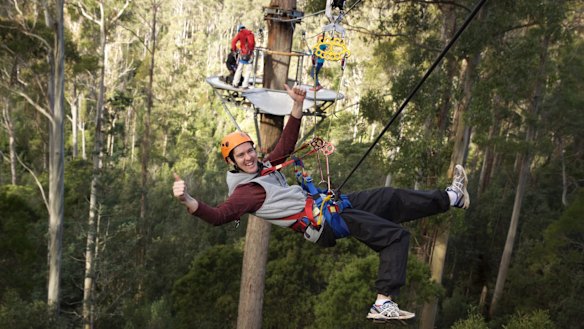 Enjoy a bird's-eye view of the forest ziplining with Hollybank Treetops Adventure.