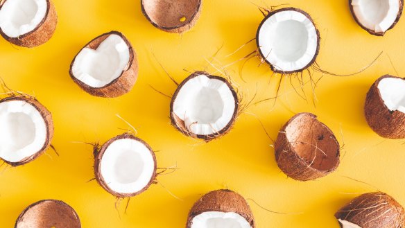 Cracking a coconut requires great care.