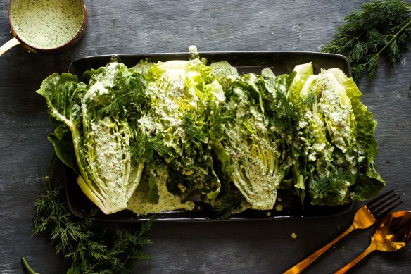 Lettuces hide a bitter secret: the milky sap coming from the stems contains compounds that relieve pain and cause drowsiness.