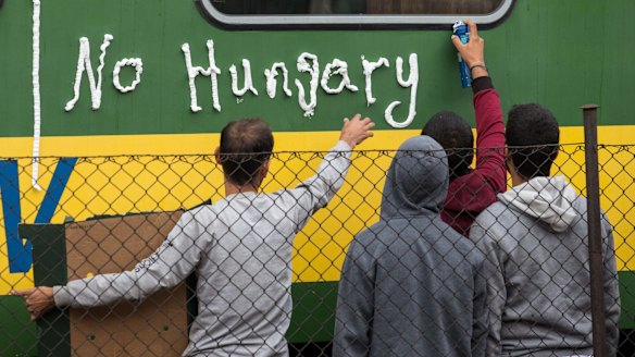 Migrants protest outside a train in Bicske, Hungary, that they refuse to leave for fear of being taken to a refugee camp.