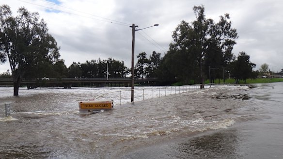 SES acting deputy commissioner Mark Morrow said the flooding passed August 1990 levels, when 132 properties were inundated.