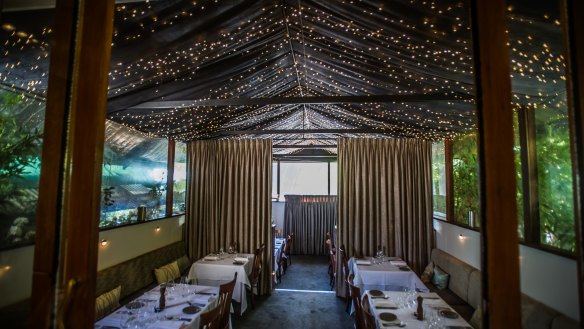 Rubicon restaurant's twinkling fairy light ceiling.