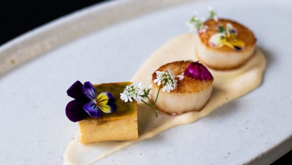 Scallops with celeriac puree and avocado brulee.