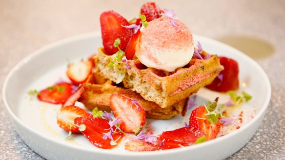 Coffee waffles with fresh, freeze-dried and  macerated strawberries.