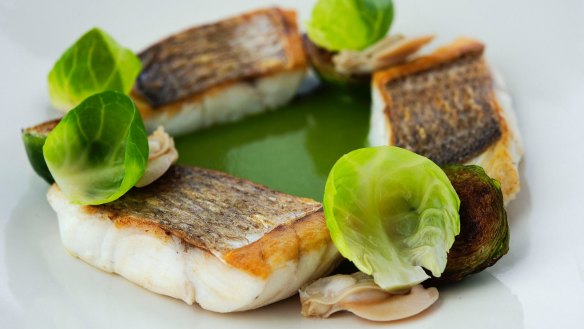 Pink snapper with brussels sprouts and pipis in a lemongrass sauce.