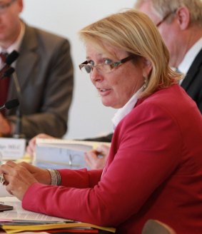 Lynda Voltz accused a parliamentary staffer of a smear campaign.