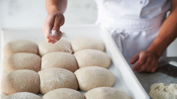 Shaping the base step 1: Once the dough has matured and tripled in size, remove from the refrigerator and leave at ambient temperature for 3-4 hours (less in summer and more in winter) before forming the bases. Choose the dough ball to be used and lightly sprinkle some flour on top and along the edges where it touches the surrounding balls.