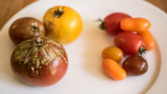 Farmers' market tomatoes (left) versus supermarket tomatoes. 