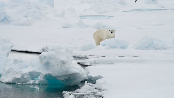 Air temperatures were 2 degrees higher than their 1981-to-2010 average in the months between October 2015 and September of 2016.