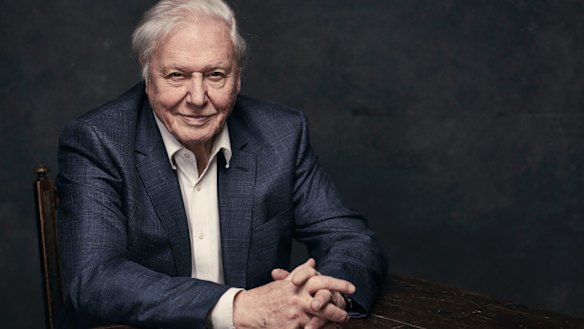 There are two types of nature shows; David Attenborough's and the rest