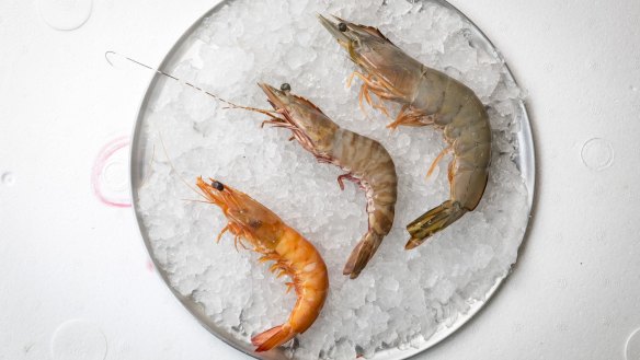 From left: Cooked king prawn, raw tiger prawn and raw banana prawn. Shellfish prices are expected to skyrocket this Easter.