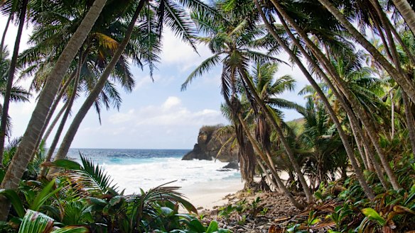 Dolly Beach, Christmas Island. It is usually the local detention centre that makes headlines, but for naturalists such as David Attenborough, Christmas Island is a natural wonder.