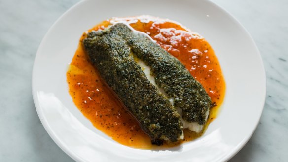 Herb-crusted coral trout with roast tomato sauce.