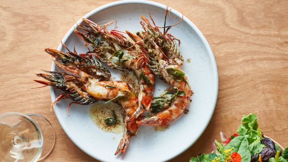 Black tiger prawns at Yarri in Dunsborough, Western Australia.