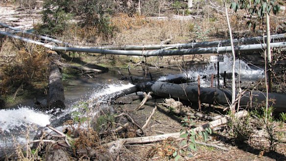 Springvale mine was pumping polluted mine water into the top of the East Wolgan swamp in Sept 2008. The swamp has been extensively damaged as the polluted water killed off all the vegetation and also ground cracking caused by subsidence resulted in the swamp draining and drying out.