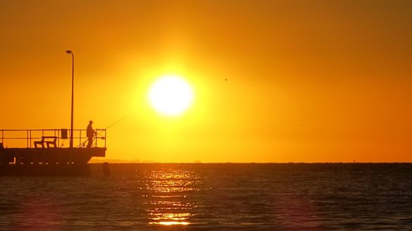 The government will review climate policies next year.