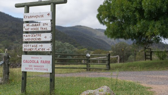 Caloola Farm.
