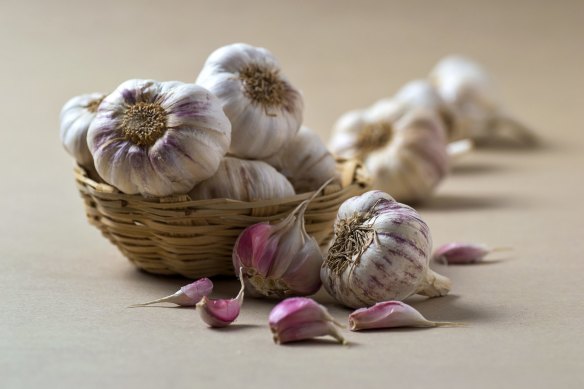 There is a common bacterium called Clostridium botulinum that exists naturally in the environment, even on garlic. 