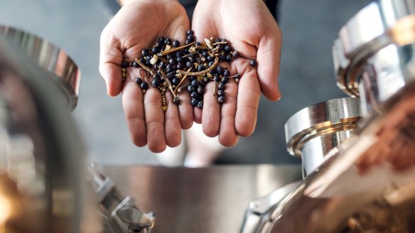 Gin is predominantly flavoured with juniper berries.