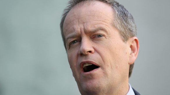 Labor MP Ed Husic's warning about a lack of consultation is the first major complaint to be made about Bill Shorten's leadership style by colleagues.
