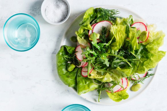 Radish, broad bean, butter lettuce and rocket salad. 