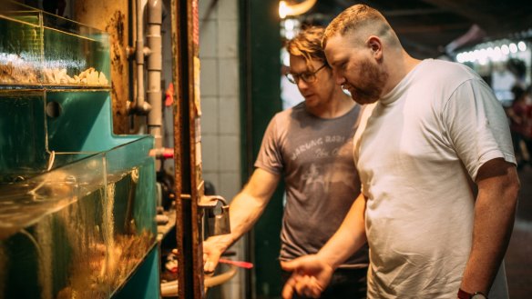 Patrick Friesen and Christopher Hogarth checking out the live seafood tanks as they wander around the dai pai dongs.