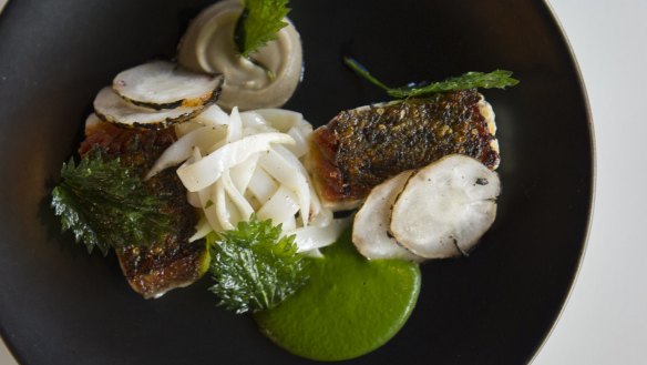 Roasted barramundi, jerusalem artichoke, nettles and cuttlefish.