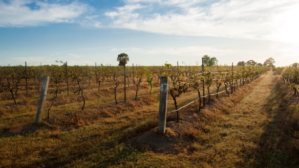 Harkham Wines is set in a picturesque part of the Hunter Valley.