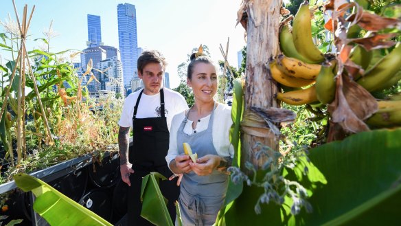 Matt Stone and Jo Barrett are growing food in the middle of the CBD.
