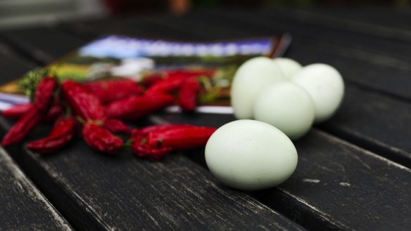 Araucana eggs and chili from Sue Pavasaris' Griffith garden.