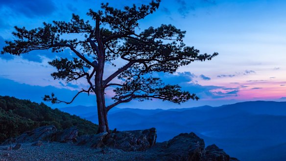 Views forever: Dusk at Ravens Roost Overlook, Shenandoah National Park,
Virginia.