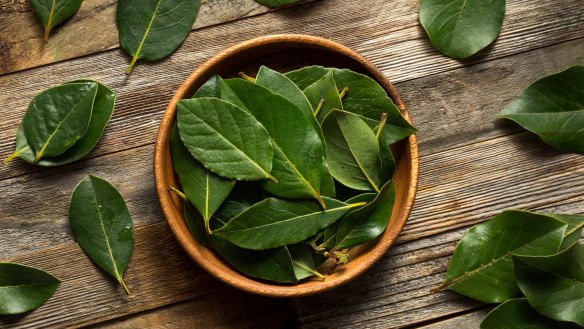 Bay leaves add a deep savoury note to stocks.