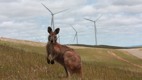Australia's energy industry largely remains in the dark as to the details of the proposed national energy guarantee.
