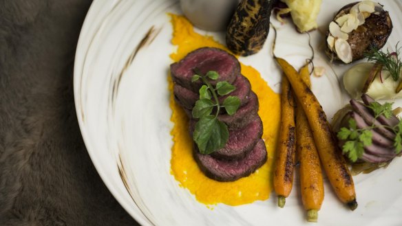 The venison sampler with root vegetables, fennel, berry and carrot.