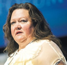 "If Australia does not supply iron ore then other countries will," Gina Rinehart told a dinner in Hong Kong.