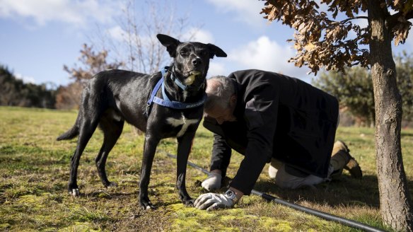 Truffle farmer David Burdis with his truffle-sniffing dog Zazu in Greenwich Park.