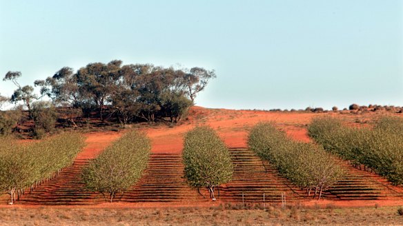 Hard sales tactics behind Timbercorp revealed