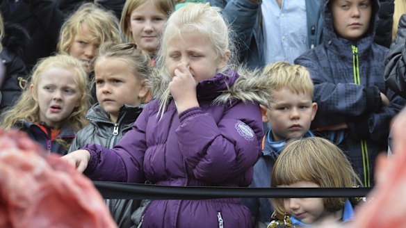 Children react to the dissection of a lion in Odense Zoo on Thursday. 