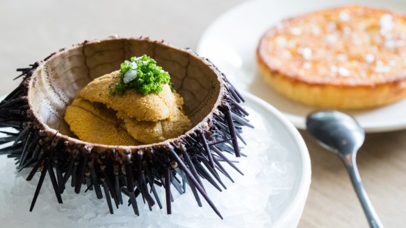 Good Food. Saint Peter; 362 Oxford St, Paddington. Urchin crumpet. Photograph by Edwina Pickles. Taken on 7th March 2017.