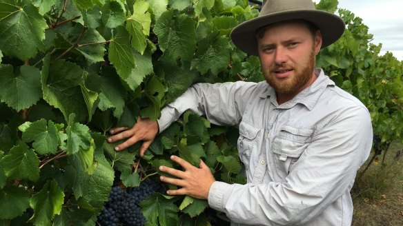 Will Bruce shows Wily Trout pinot noir. 