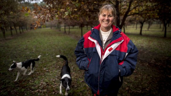 Truffle farmer Kathy Smith and her two pet dogs turned truffle hunters. 