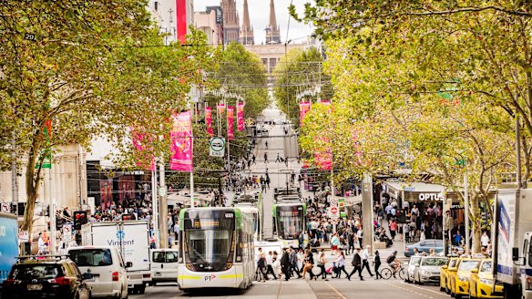 Street trees have improved Melbourne's liveability. 