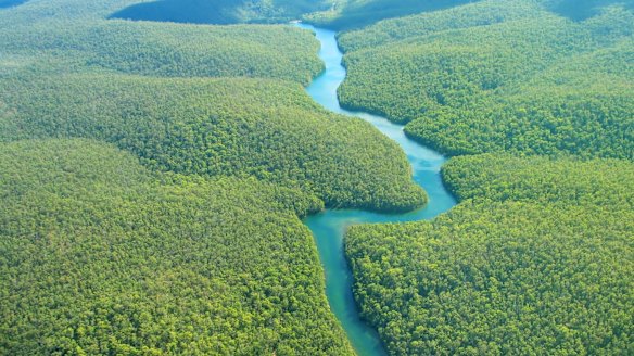 The advisers went to South America with the company.